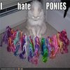 Pony Haters