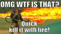 OMG WTF IS THAT? Quick, kill it with fire! quickmeme.com soldier shooting a flamethrower 