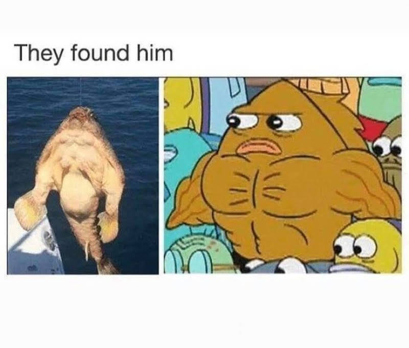 They found him