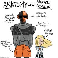 MASTER ANATOMY OF A ASSASSIN backpack filled directly with Robin fanfics listening to Puffy AmiYumi apprentice control device Fits in his big Pocket DANKODEADZONE Peak Assassin Physique child of apprentice