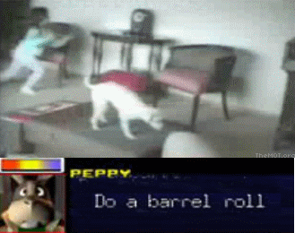 PEPPY Do a barrel roll