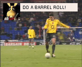 DO A BARREL ROLL!