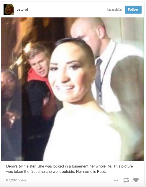 cstcrpt tumblr Follow Demi's twin sister. She was locked in a basement her whole life. This picture was taken the first time she went outside. Her name is Poot. 87,292 notes