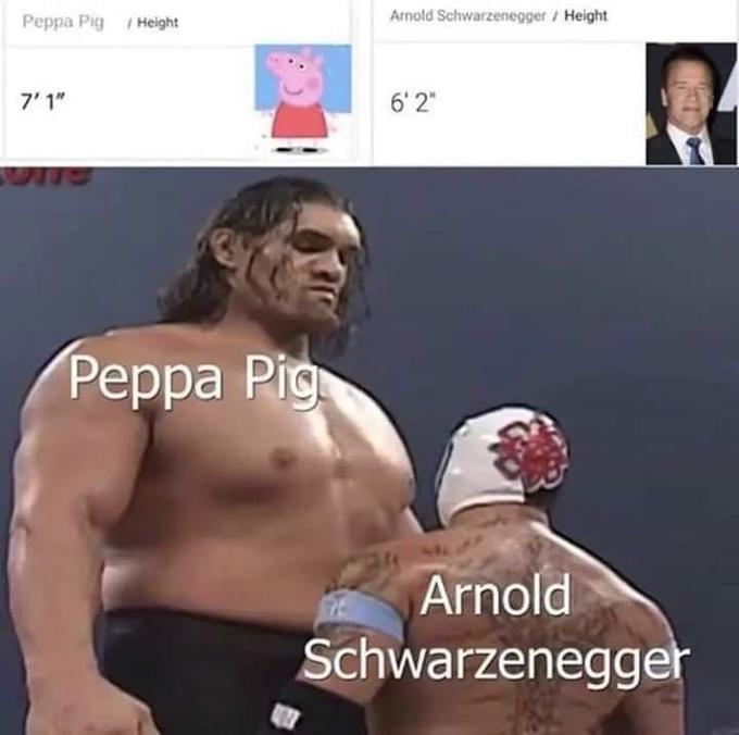 Peppa Pig /Height Arnold Schwarzenegger / Height 7' 1" 6' 2" Реppa Pig Arnold Schwarzenegger