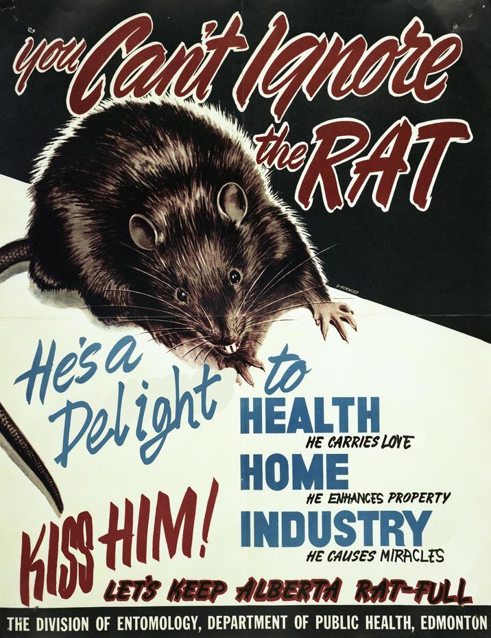 you Can't Lanere RAT the CEFEFER D.HORWOOD He's a to HEALTH Pelight HOME INDUSTRY HE CARRIES LOVE HE ENHANCES PROPERTY HE CAUSES MIRACLES LET'S KEEP ALBERTA RAT-FULL THE DIVISION OF ENTOMOLOGY, DEPARTMENT OF PUBLIC HEALTH, EDMONTON KISS HIM!