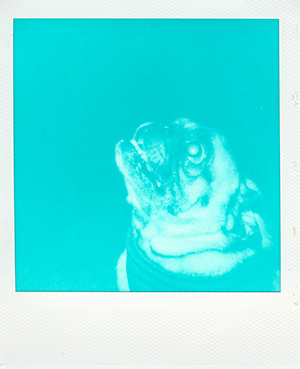 Impossible Project Film : Sample Image