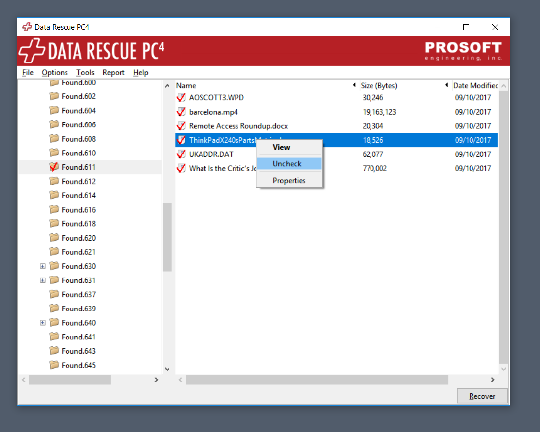 Prosoft Data Rescue PC4 View Files