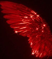 Res wings
