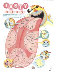 an illustrated diagram of the inside of a human body with words and pictures on it