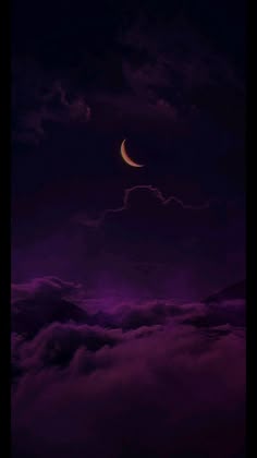 Pin by Angelica Belmonte on It just looks cool | Purple wallpaper phone, Purple wallpaper iphone, Dark purple wallpaper