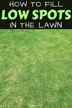 a lawn with the words how to fill low spots in the lawn