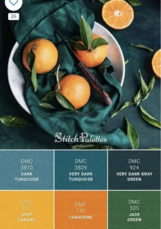 the color scheme for oranges and other fruits