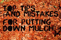 Mulch is an easy way to brighten up any garden!! How To Lay Mulch Down, How To Mulch Effectively, Laying Mulch Tips, What Is Wood Chip Mulch Used For, How To Replace Mulch In Garden, Laying Down Mulch, How To Prevent Mulch From Washing Away, How To Keep Mulch In Place, Avoiding Mulching Mistakes