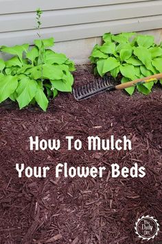 Step By Step How To Lay Down Mulch