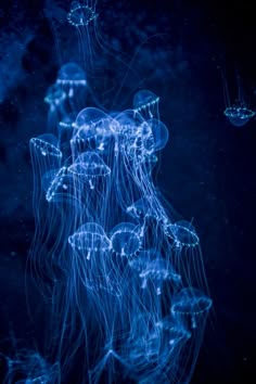 Pin by Fabrizio Rojas mamani on ª | Blue aesthetic dark, Dark blue wallpaper, Blue aesthetic