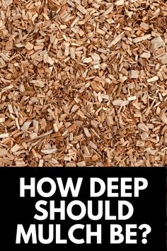 a pile of wood chips with the words how deep should mulch be?