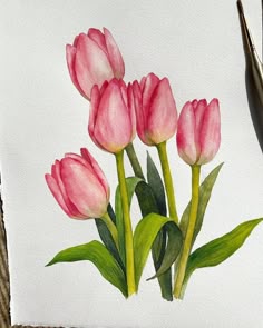 watercolor flowers | Flower drawing, Flower painting, Tulips art