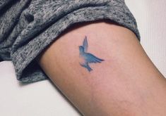 a small blue bird tattoo on the arm