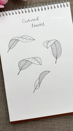 Flower Doodles | Mandala | Zen art✨ on Instagram: "Learn to draw flowers in different perspectives 🌸 Save for later 👋  . Check out our step by step drawing wo… in 2025 | Flower art drawing, Flower drawing tutorials, Doodle art designs