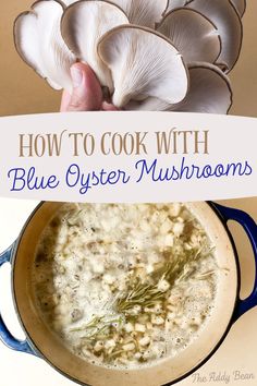 how to cook with blue oyster mushrooms in a pot on the stove top and bottom