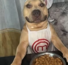Pin de Shªwty en Things dump | Fotografías divertidas de animales, Humor de animales, Mascotas bonitas