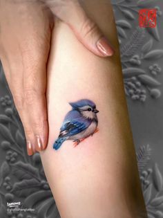 a small blue bird tattoo on the right thigh