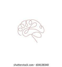the outline of a brain on a white background