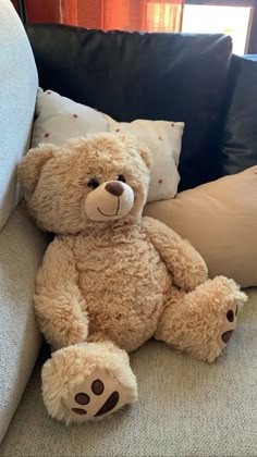 Pin by Jean Elaine Grey on The child inside me in 2025 | Teddy bear, Plush toys, Teddy