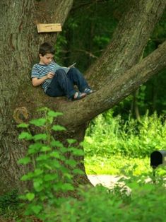 Pin by babsy on scenes in 2025 | Kids reading, Outdoor reading nooks, Reading spot
