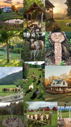 Pin de Halina Mackay en Quick Saves en 2025 | Vida de granja, Casas de estilo hacienda, Jardineria y plantas