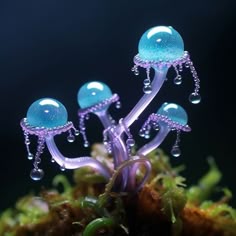 Pin by star on ⓘ Mind of Mine 💭 | Weird plants, Mushroom art, Alien plants