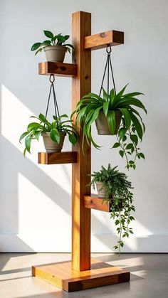 Pin on Plant care houseplant