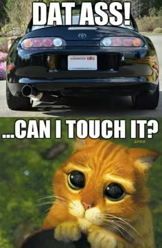 Funny Car Quotes and Jokes