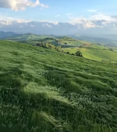 Bologna Italy in 2025 | Beautiful nature, Heavenly places, Beautiful destinations