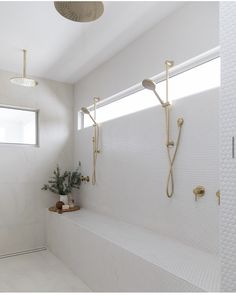 a white tiled bathroom with gold fixtures and shower faucet, windows, and plants
