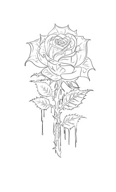 a black and white drawing of a rose