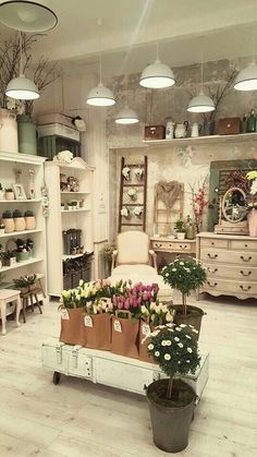 「Supermarket design」おしゃれまとめの人気アイデア｜Pinterest｜Qamar Bazuhair | インテリア 収納, フラワーショップ, おしゃれ 花屋