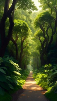 Pin by Magdalena Rogalska on wallpapers | Forest scenery, Landscape art, Fantasy landscape
