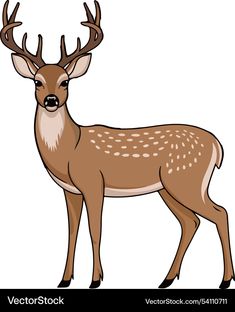 A collection of cartoon animals in 2025 | Deer cartoon, Cartoon animals, Cartoon styles