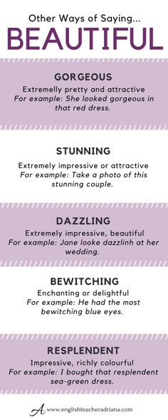 an info sheet describing the different types of hair and grooming products that are available for purchase