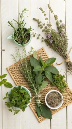 An overhead view showcasing herbal plants' benefits through a thoughtfully arranged display of fresh and dried medicinal… in 2025 | Herbal plants, Herbalism, Plant benefits