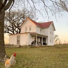 a chicken is standing in front of a white house with a red roof and large tree