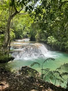 Mexico | Mexico waterfalls, Mexico, Greece vacation