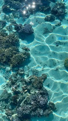 Ocean Sunlight through water Cute Beach Wallpaper | Beach pictures, Pretty landscapes, Scenery