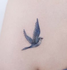 Micro Bird Tattoo, Pretty Bird Tattoos For Women, Blue Swallow Tattoo, Bluebirds Tattoo, Blue Sparrow Tattoo, Blue Hummingbird Tattoo, Bluejay Tattoo Simple, Blue Birds Tattoo, Jaybird Tattoo