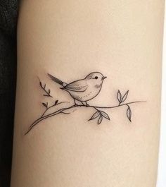 a small bird sitting on top of a branch