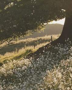 Pin på Nature