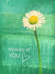 thinking of you | Thinking of you quotes, Thinking of you images, Thinking of you