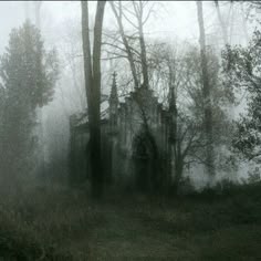 fairycore aesthetic | Dark green aesthetic, Dark forest aesthetic, Dark nature aesthetic