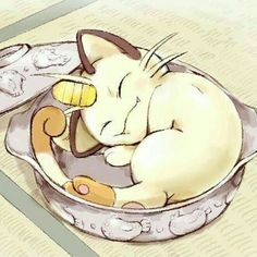 a cat sleeping in a bowl with its eyes closed